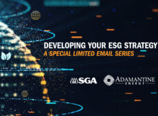 Adamantine ESG Email Series