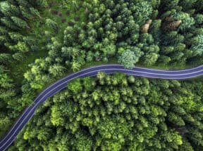 aerial view of highway winding through wooded area